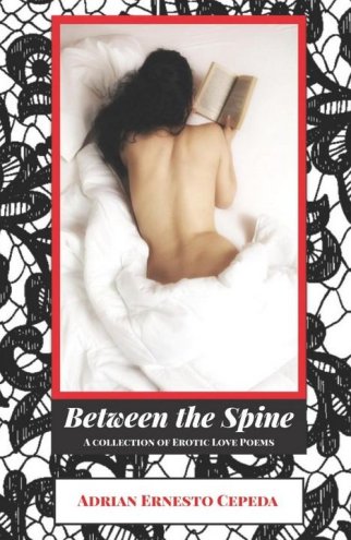 Between the spine pine book cover