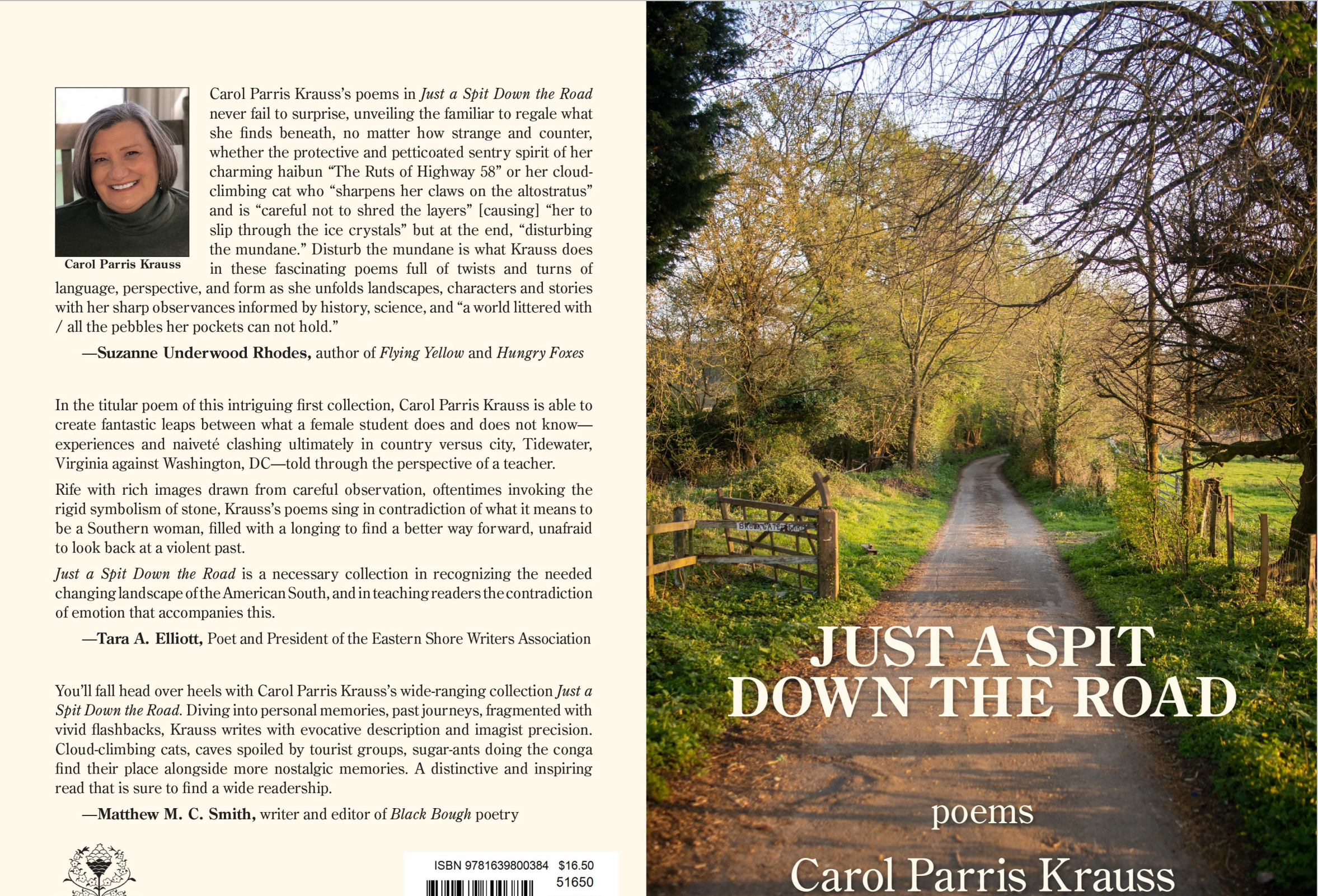 just a spit cover by carol parris krauss
